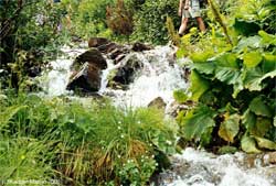 Бурхливі води